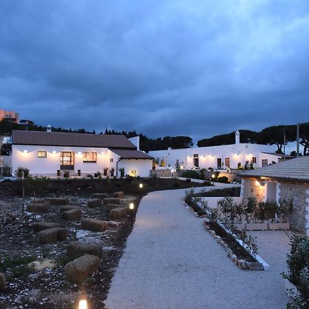 Montegusto Bed & Breakfast Castel Del Monte  Bagian luar foto